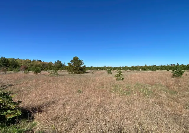 Photo 2 of Land for sale at Tbd State Hwy 87 Lot 1, Park Rapids, MN 56470 | MLS# 7153266 | Listing updated on 2026-10-02