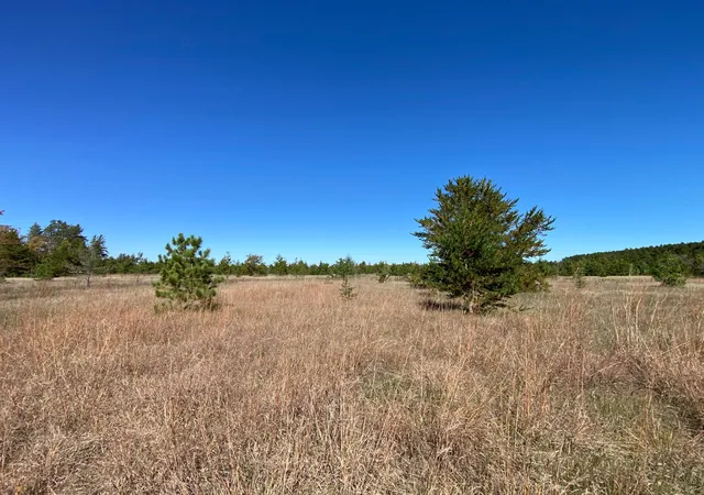 Photo 3 of Land for sale at Tbd State Hwy 87 Lot 1, Park Rapids, MN 56470 | MLS# 7153266 | Listing updated on 2026-10-02
