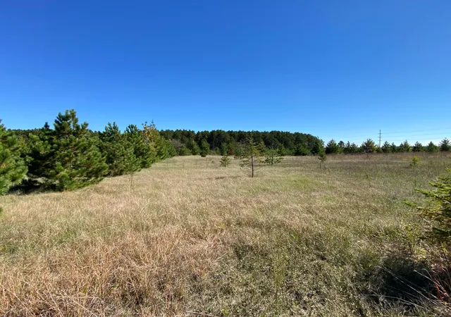 Photo 3 of Land for sale at Tbd State Hwy 87 Lot 1, Park Rapids, MN 56470 | MLS# 7153266 | Listing updated on 2026-10-02