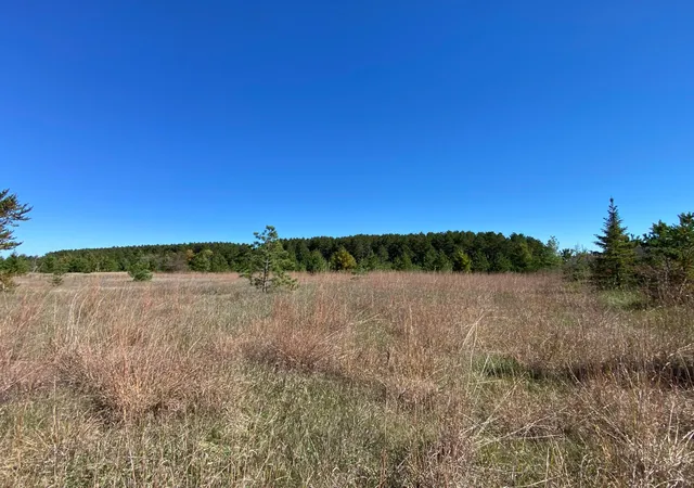 Photo 4 of Land for sale at Tbd State Hwy 87 Lot 1, Park Rapids, MN 56470 | MLS# 7153266 | Listing updated on 2026-10-02