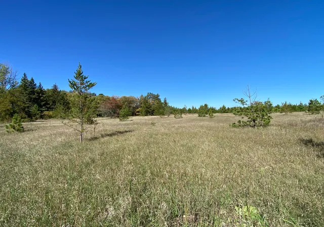 Photo 3 of Land for sale at Tbd State Hwy 87 Lot 2, Park Rapids, MN 56470 | MLS# 7153271 | Listing updated on 2026-10-02