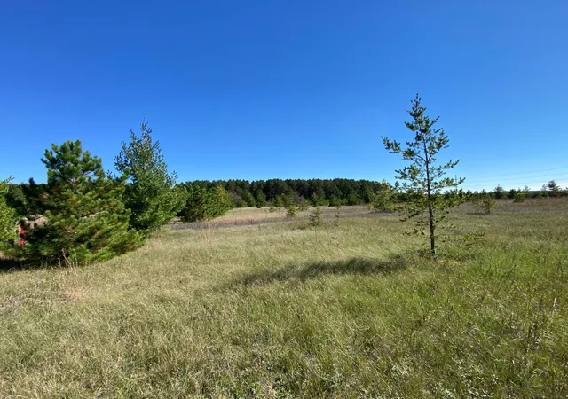 Photo 4 of Land for sale at Tbd State Hwy 87 Lot 2, Park Rapids, MN 56470 | MLS# 7153271 | Listing updated on 2026-10-02