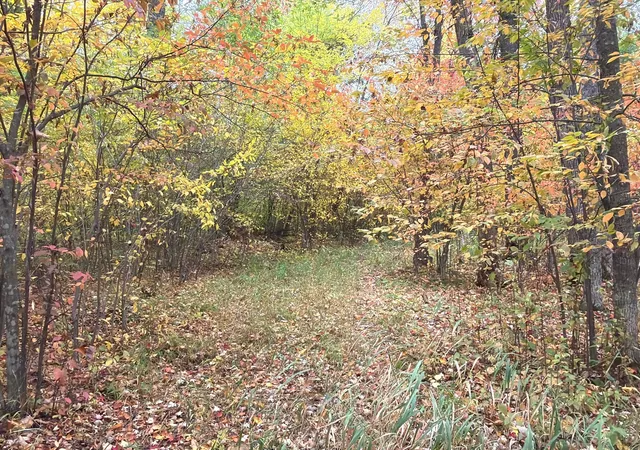 Photo 2 of Land for sale at 0 Klarquist Rd, Lincoln Twp, WI 54840 | MLS# 7153280 | Listing updated on 2026-10-01
