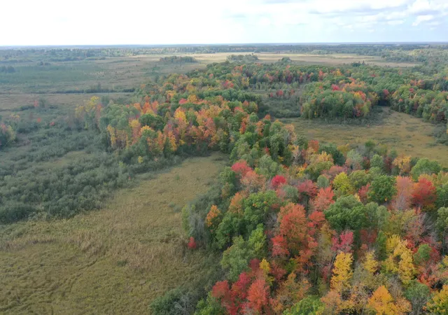 Photo 3 of Land for sale at 0 Klarquist Rd, Lincoln Twp, WI 54840 | MLS# 7153280 | Listing updated on 2026-10-01