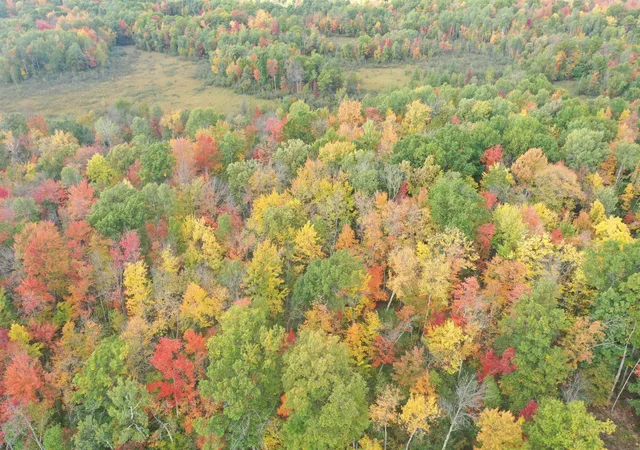 Photo 3 of Land for sale at 0 Klarquist Rd, Lincoln Twp, WI 54840 | MLS# 7153280 | Listing updated on 2026-10-01