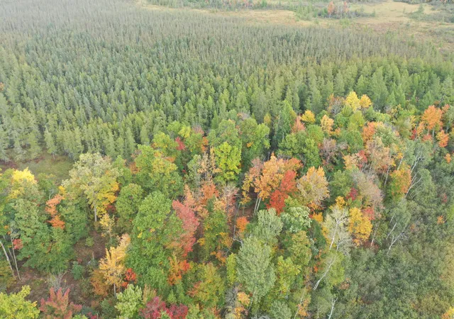Photo 4 of Land for sale at 0 Klarquist Rd, Lincoln Twp, WI 54840 | MLS# 7153280 | Listing updated on 2026-10-01
