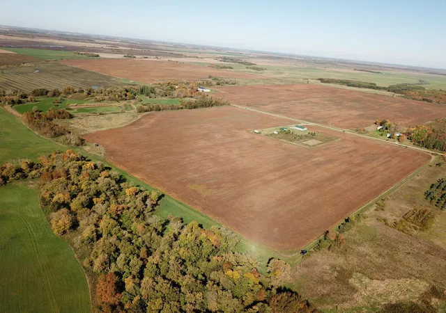 Photo 2 of Land for sale at 11763 546th Street, Gonvick, MN 56644 | MLS# 7153290 | Listing updated on 2026-10-01
