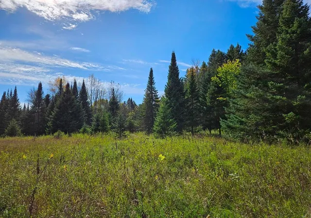 Photo 3 of Land for sale at Lt 3 Blk 1 County Rd 238, Deer River, MN 56636 | MLS# 7153425 | Listing updated on 2026-10-01