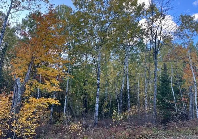 Land for sale at Tbd S Loon Lake Rd, Aurora, MN 55705 | MLS# 7153428