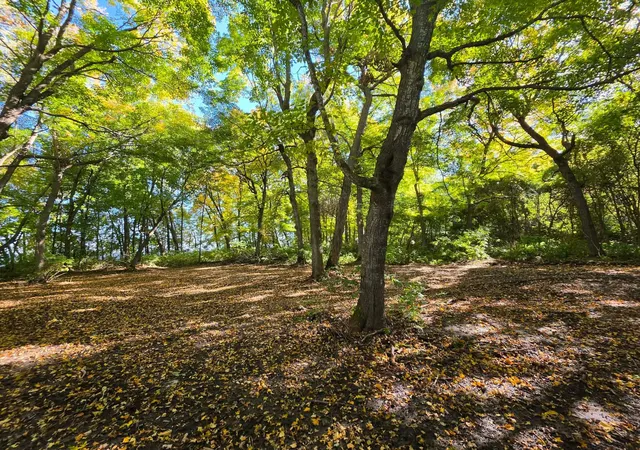 Photo 3 of Land for sale at Tbd Ottertail Point Dr Nw, Cass Lake, MN 56633 | MLS# 7153530 | Listing updated on 2026-10-06