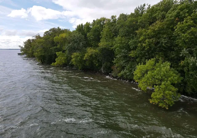 Photo 3 of Land for sale at Tbd Ottertail Point Dr NW, Cass Lake, MN 56633 | MLS# 7153530 | Listing updated on 2026-10-06