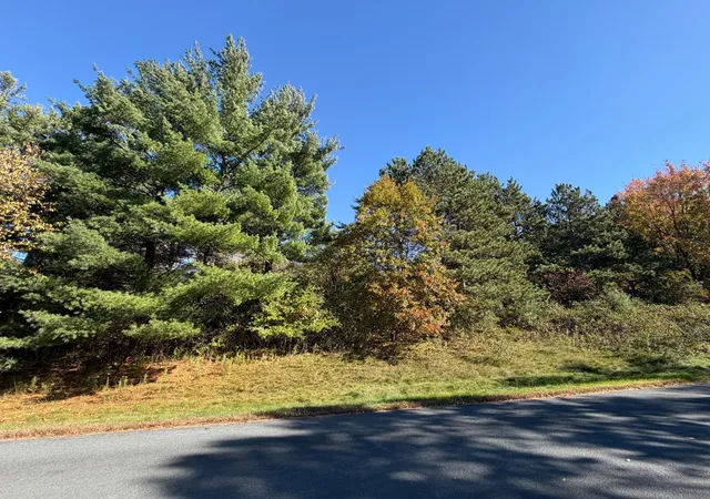 Land for sale at Tbd Delong Rd, Somerset, WI 54020 | MLS# 7153623