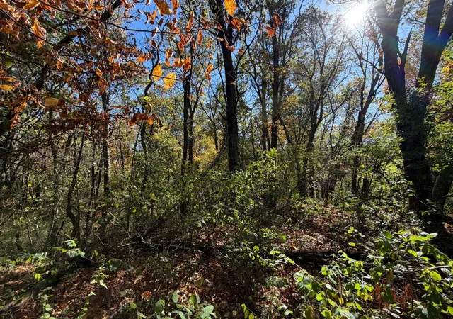Photo 3 of Land for sale at Tbd Delong Rd, Somerset, WI 54020 | MLS# 7153623 | Listing updated on 2026-10-27