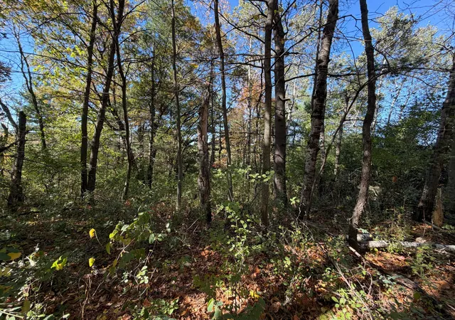 Photo 4 of Land for sale at Tbd Delong Rd, Somerset, WI 54020 | MLS# 7153623 | Listing updated on 2026-10-27