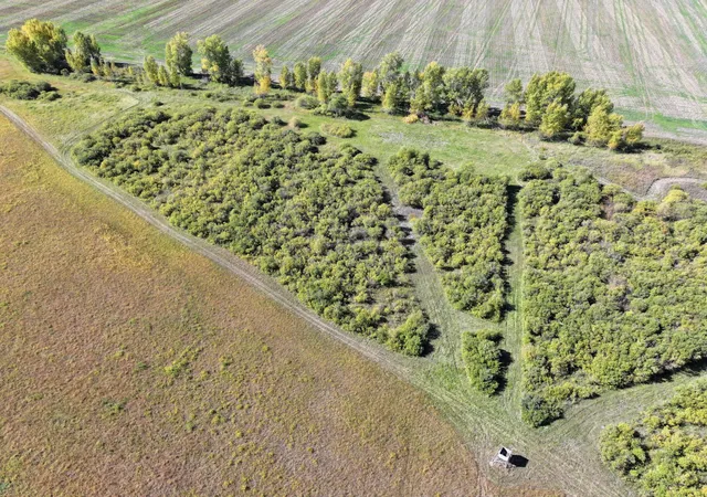 Photo 3 of Land for sale at 44255 270th Avenue NW, Karlstad, MN 56732 | MLS# 7153657 | Listing updated on 2026-10-01
