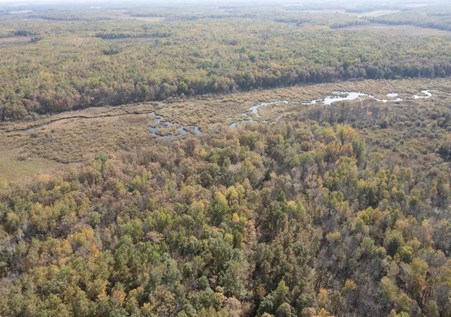 Photo 3 of Land for sale at Tbd County Rd 2, Brainerd, MN 56401 | MLS# 7153726 | Listing updated on 2026-10-01