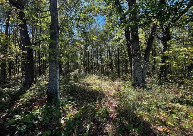 Photo 4 of Land for sale at Tbd County Rd 2, Brainerd, MN 56401 | MLS# 7153726 | Listing updated on 2026-10-01