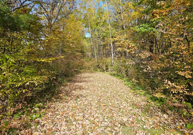 Land for sale at Tbd Lot 1 Bunny Ln, Crosby, MN 56441 | MLS# 7153827