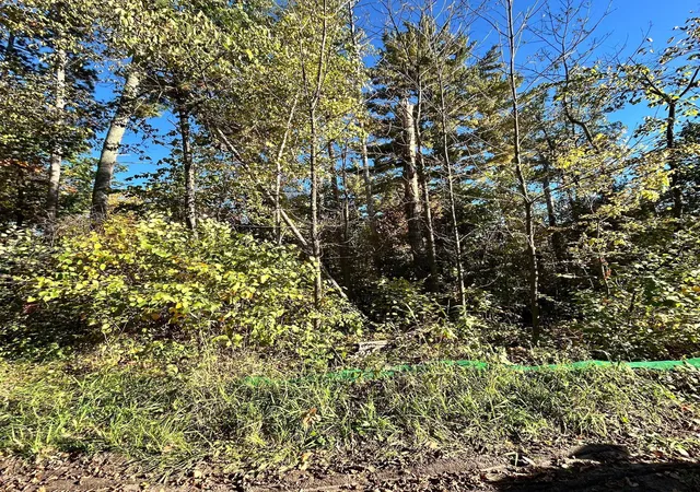 Land for sale at Tbd Edna Lake Rd, Nisswa, MN 56468 | MLS# 7153914
