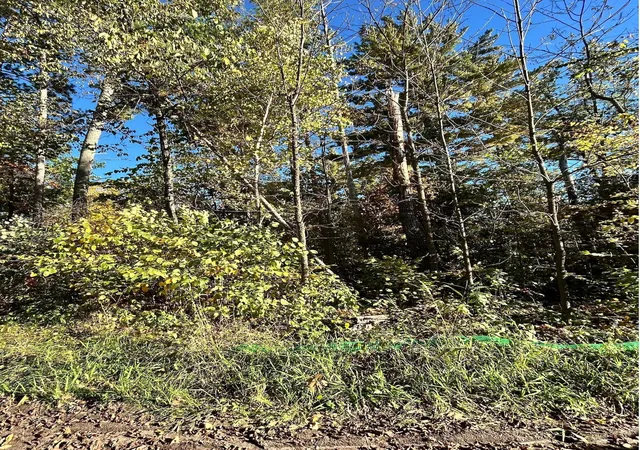Photo 2 of Land for sale at Tbd Edna Lake Rd, Nisswa, MN 56468 | MLS# 7153914 | Listing updated on 2026-10-02