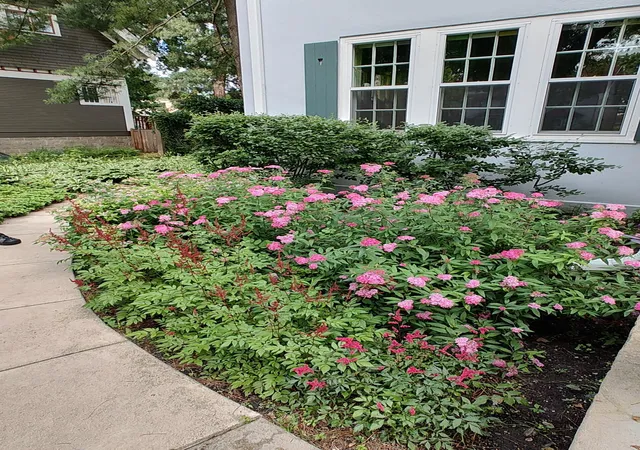 Photo 2 of Multi family home for sale at 2725 Irving Ave S #1, Minneapolis, MN 55408 | MLS# 7153920 | Listing updated on 2026-10-20
