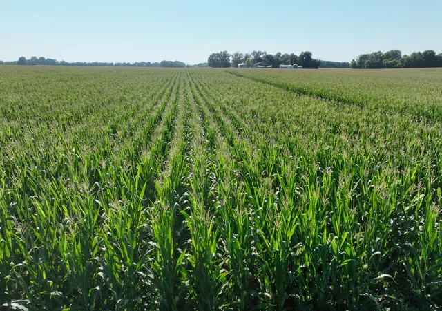 Land for sale at 001 60th Street, Benson, MN 56215 | MLS# 7153921