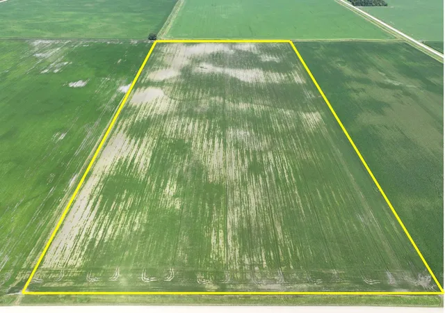 Photo 3 of Land for sale at 001 60th Street, Benson, MN 56215 | MLS# 7153921 | Listing updated on 2026-10-01