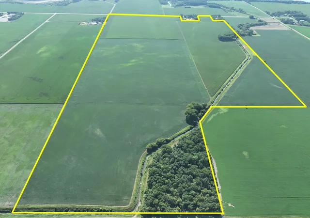 Photo 4 of Land for sale at 001 60th Street, Benson, MN 56215 | MLS# 7153921 | Listing updated on 2026-10-01