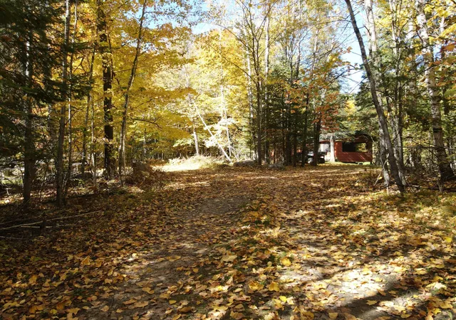 Photo 3 of Single family home for sale at 41748 Teal Rd, Bigfork, MN 56628 | MLS# 7154283 | Listing updated on 2026-10-03