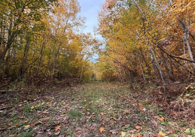 Photo 3 of Land for sale at Tbd Ests Range Rd, Kerrick, MN 55756 | MLS# 7154498 | Listing updated on 2026-10-05