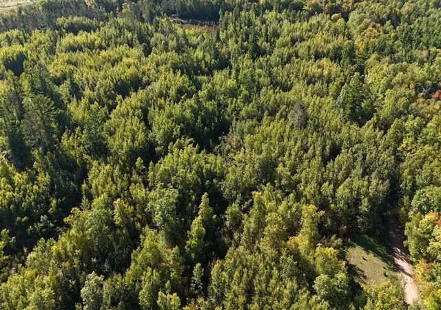 Photo 3 of Land for sale at Tbd Ests Range Rd, Kerrick, MN 55756 | MLS# 7154498 | Listing updated on 2026-10-05