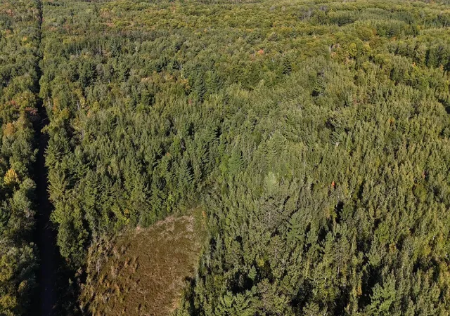 Photo 3 of Sale Pending at Tbd Estates, Kerrick, MN 55756 | MLS# 7154571 | Listing updated on 2026-10-06