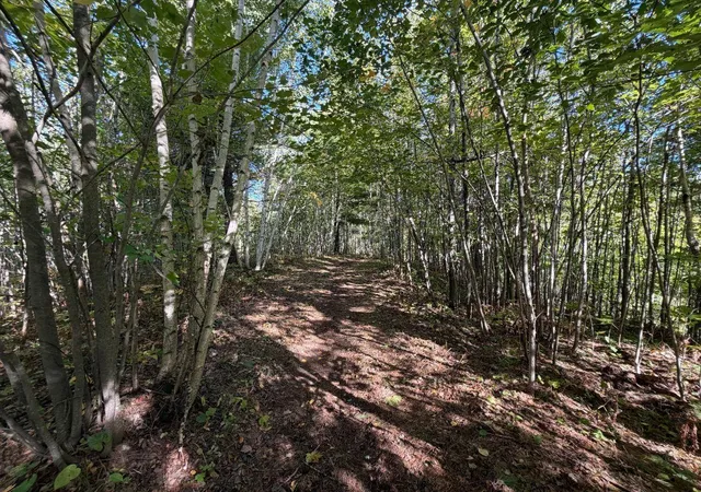 Photo 3 of Sale Pending at Tbd Estates, Kerrick, MN 55756 | MLS# 7154571 | Listing updated on 2026-10-06