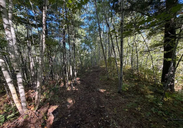 Photo 4 of Sale Pending at Tbd Estates, Kerrick, MN 55756 | MLS# 7154571 | Listing updated on 2026-10-06