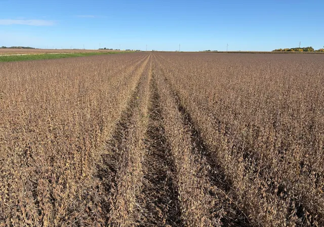 Photo 1 of Land for sale at Tbd 540th Avenue, Wells, MN 56097 | MLS# 7154649 | Listing updated on 2026-10-09