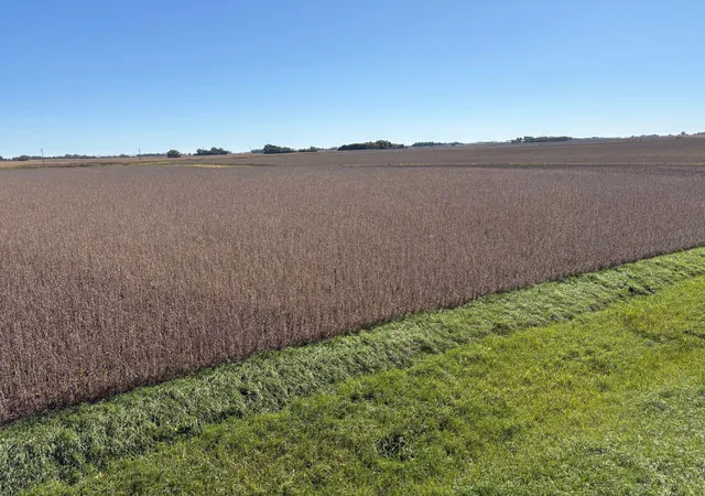 Photo 3 of Land for sale at Tbd 540th Avenue, Wells, MN 56097 | MLS# 7154649 | Listing updated on 2026-10-09