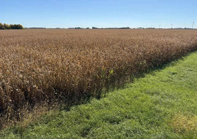 Photo 3 of Land for sale at Tbd 540th Avenue, Wells, MN 56097 | MLS# 7154649 | Listing updated on 2026-10-09