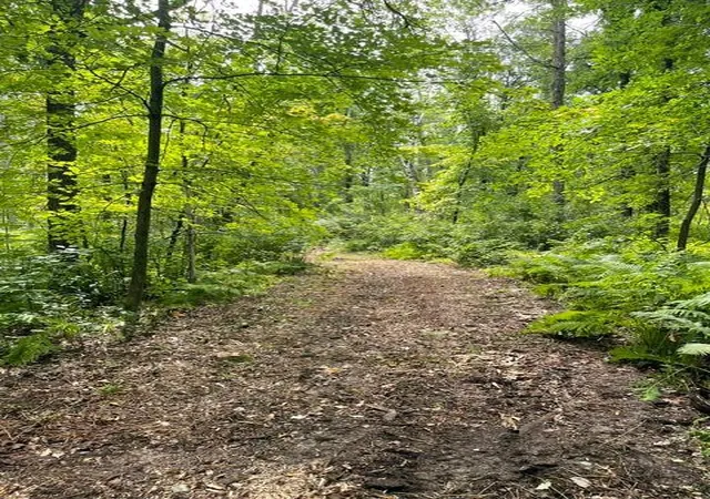 Land for sale at Tbd Lacy Ln SW, Pequot Lakes, MN 56472 | MLS# 7154959