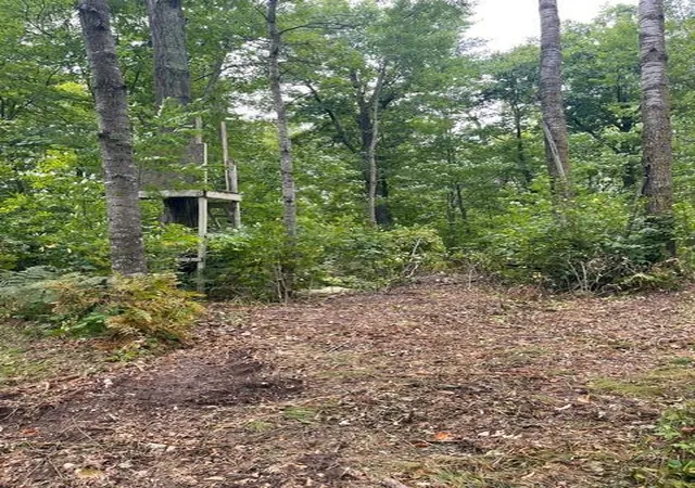 Photo 1 of Land for sale at Tbd Lacy Ln SW, Pequot Lakes, MN 56472 | MLS# 7154959 | Listing updated on 2026-10-06