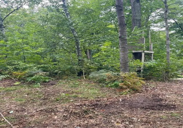 Photo 2 of Land for sale at Tbd Lacy Ln SW, Pequot Lakes, MN 56472 | MLS# 7154959 | Listing updated on 2026-10-06