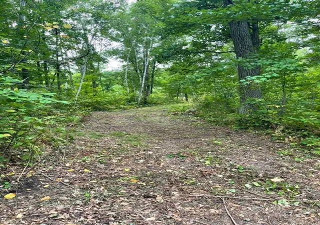 Photo 4 of Land for sale at Tbd Lacy Ln SW, Pequot Lakes, MN 56472 | MLS# 7154959 | Listing updated on 2026-10-06