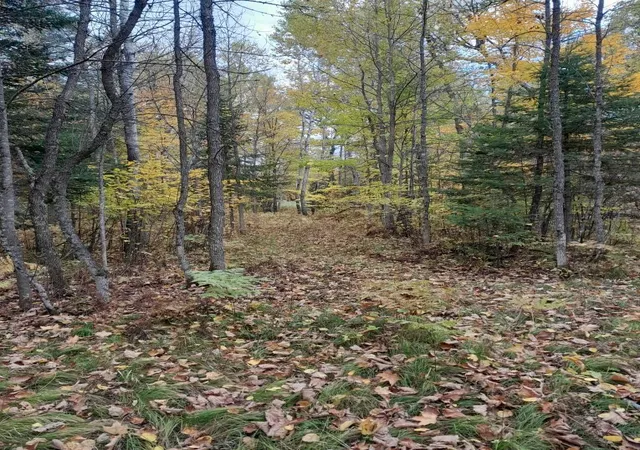 Photo 3 of Single family home for sale at 47624 Bowstring C, Deer River, MN 56636 | MLS# 7155135 | Listing updated on 2026-10-06