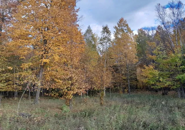 Photo 4 of Single family home for sale at 47624 Bowstring C, Deer River, MN 56636 | MLS# 7155135 | Listing updated on 2026-10-06
