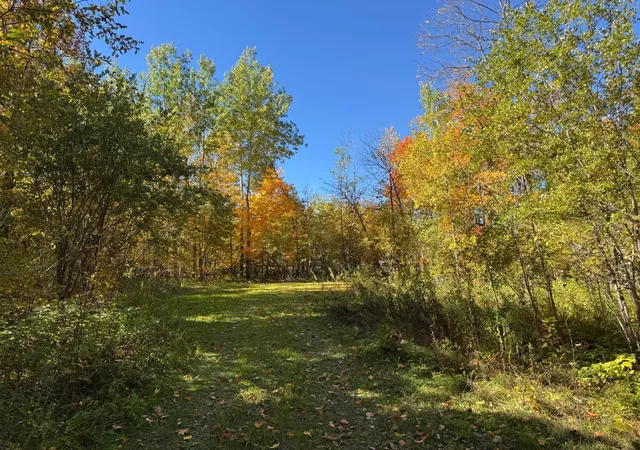 Photo 1 of Land for sale at 51265 Vagabond Loop, Bemidji, MN 56601 | MLS# 7155208 | Listing updated on 2026-10-09