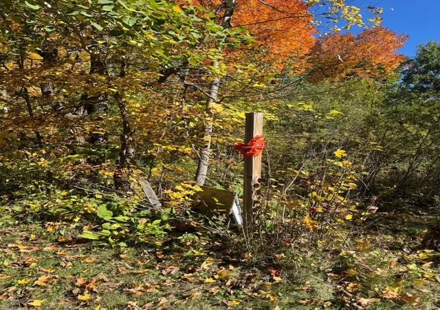 Photo 2 of Land for sale at 51265 Vagabond Loop, Bemidji, MN 56601 | MLS# 7155208 | Listing updated on 2026-10-09