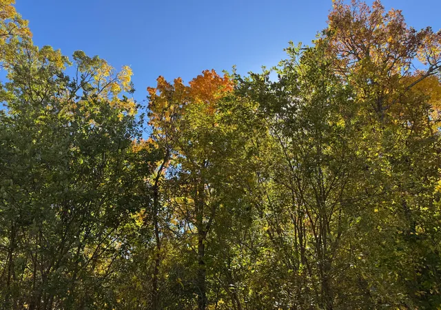 Photo 3 of Land for sale at 51265 Vagabond Loop, Bemidji, MN 56601 | MLS# 7155208 | Listing updated on 2026-10-09