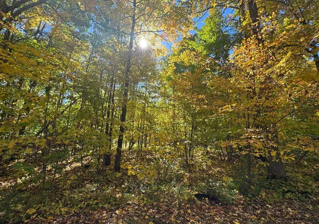 Photo 3 of Land for sale at 51265 Vagabond Loop, Bemidji, MN 56601 | MLS# 7155208 | Listing updated on 2026-10-09