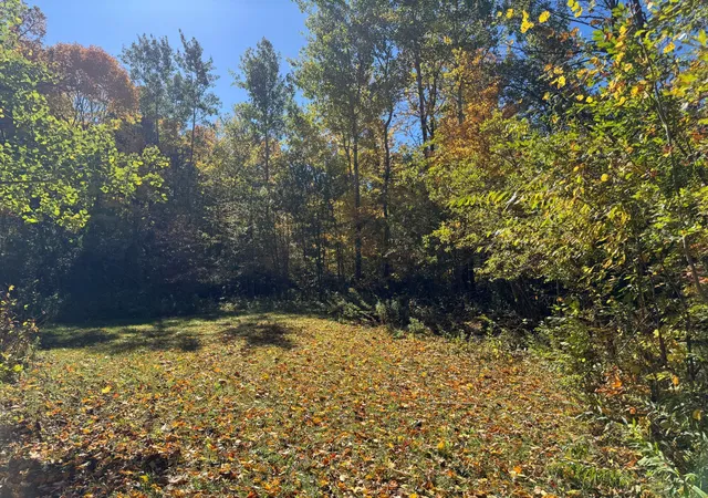 Photo 4 of Land for sale at 51265 Vagabond Loop, Bemidji, MN 56601 | MLS# 7155208 | Listing updated on 2026-10-09