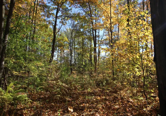Photo 2 of Land for sale at Tbd 177th Street, Ogilvie, MN 56358 | MLS# 7155357 | Listing updated on 2026-10-08