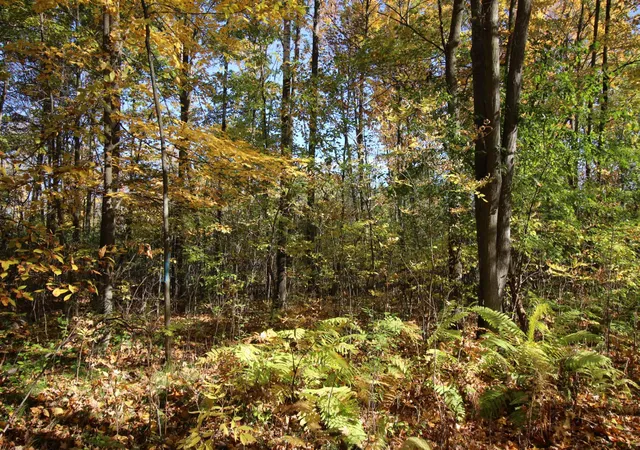 Photo 3 of Land for sale at Tbd 177th Street, Ogilvie, MN 56358 | MLS# 7155357 | Listing updated on 2026-10-08
